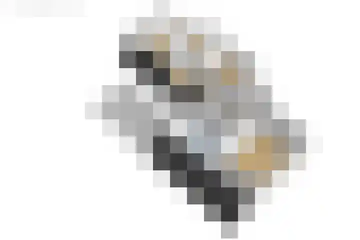 Kuipersweg 30 Buitenpost thumbnail 84