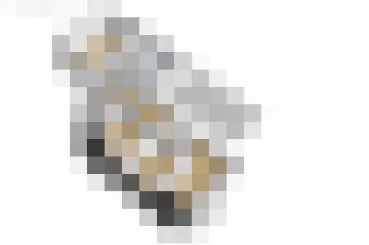 Kuipersweg 30 Buitenpost thumbnail 86