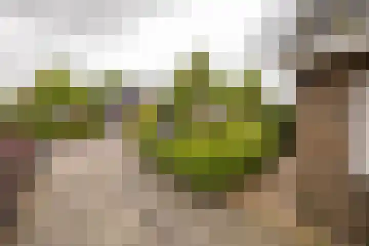 Kuipersweg 30 Buitenpost thumbnail 9