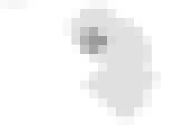 Kuipersweg 30 Buitenpost thumbnail 98