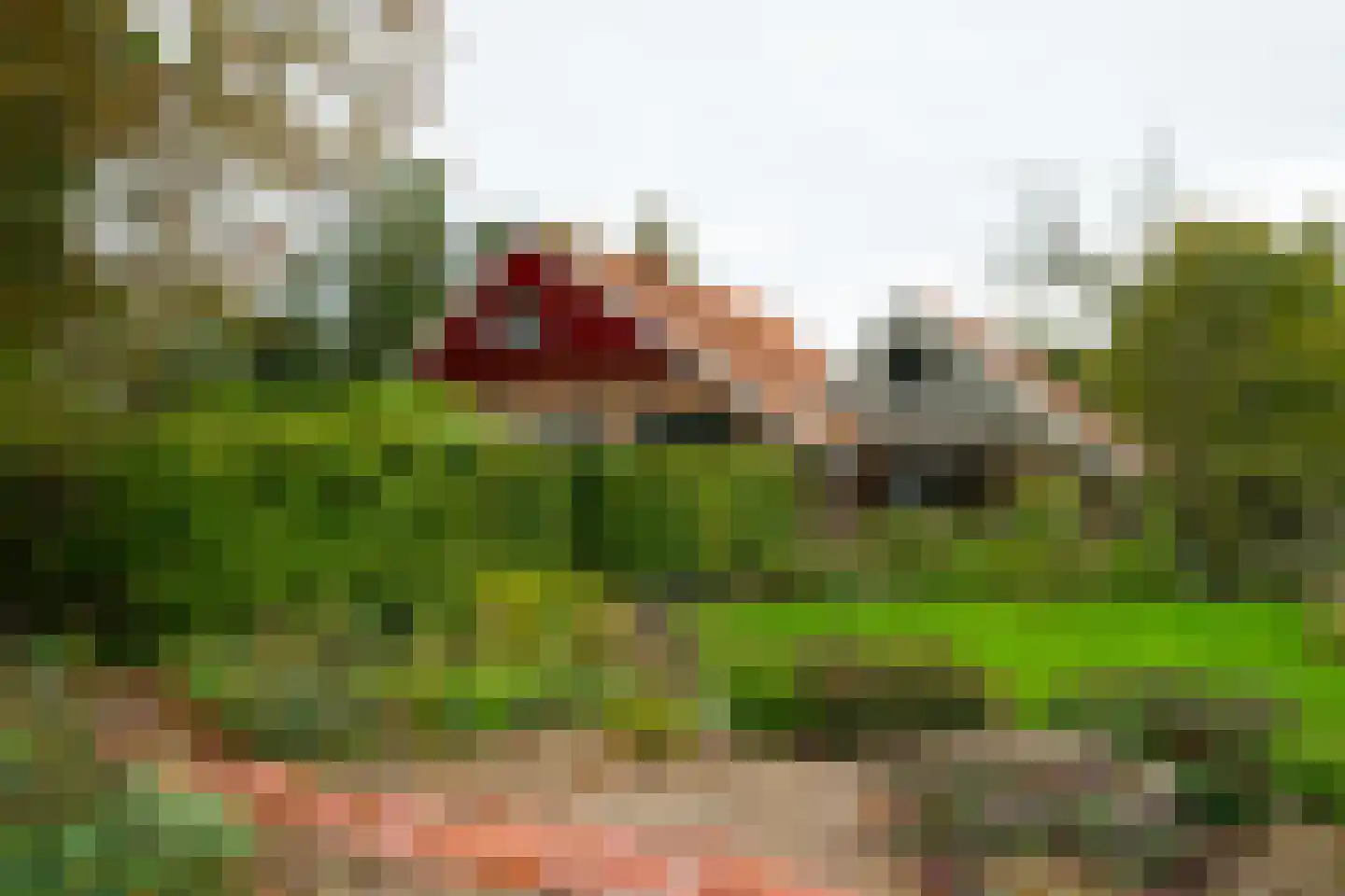 Kuipersweg 4 Winterswijk Kotten thumbnail 100
