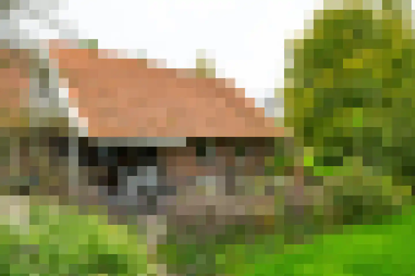 Kuipersweg 4 Winterswijk Kotten thumbnail 101
