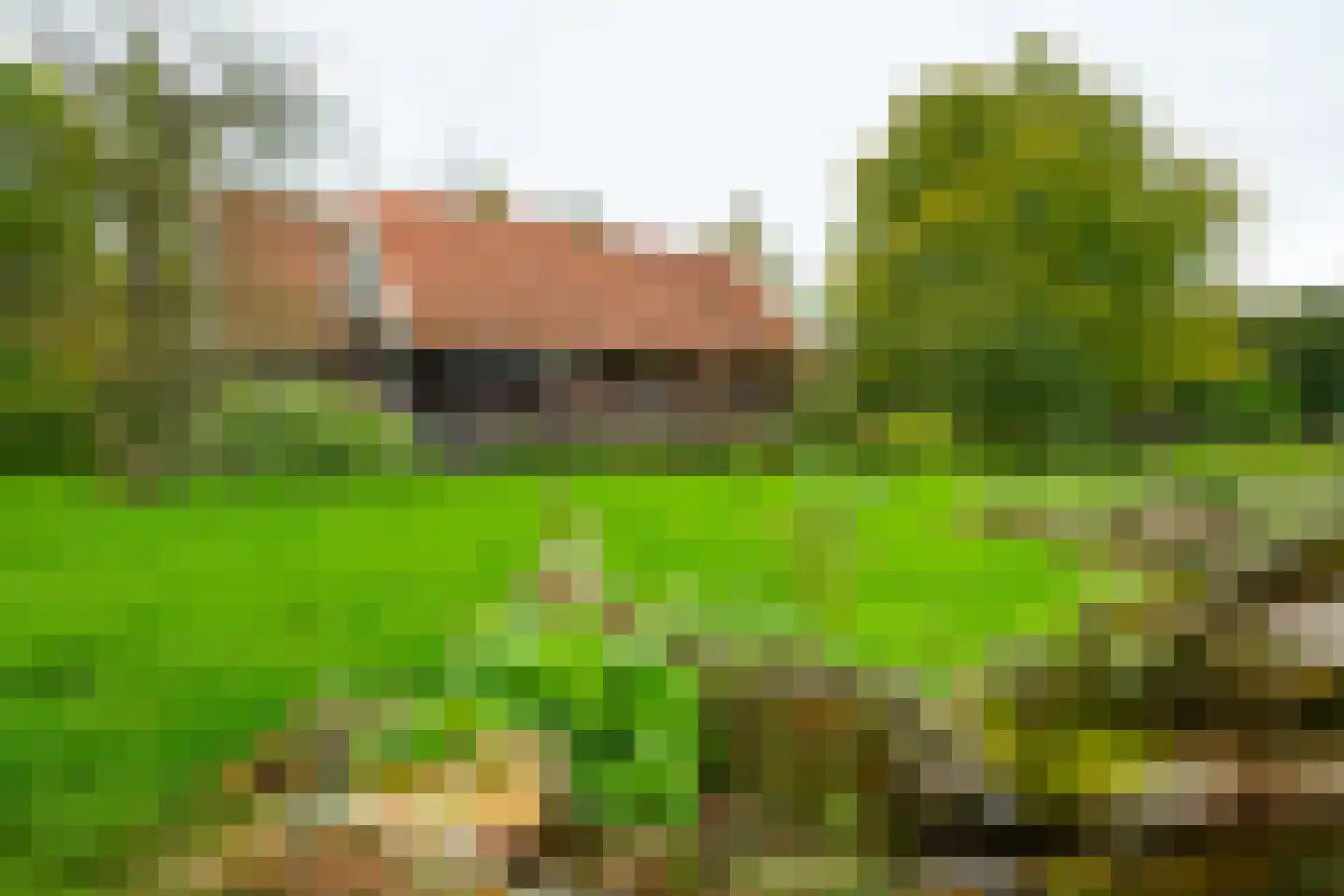 Kuipersweg 4 Winterswijk Kotten thumbnail 102