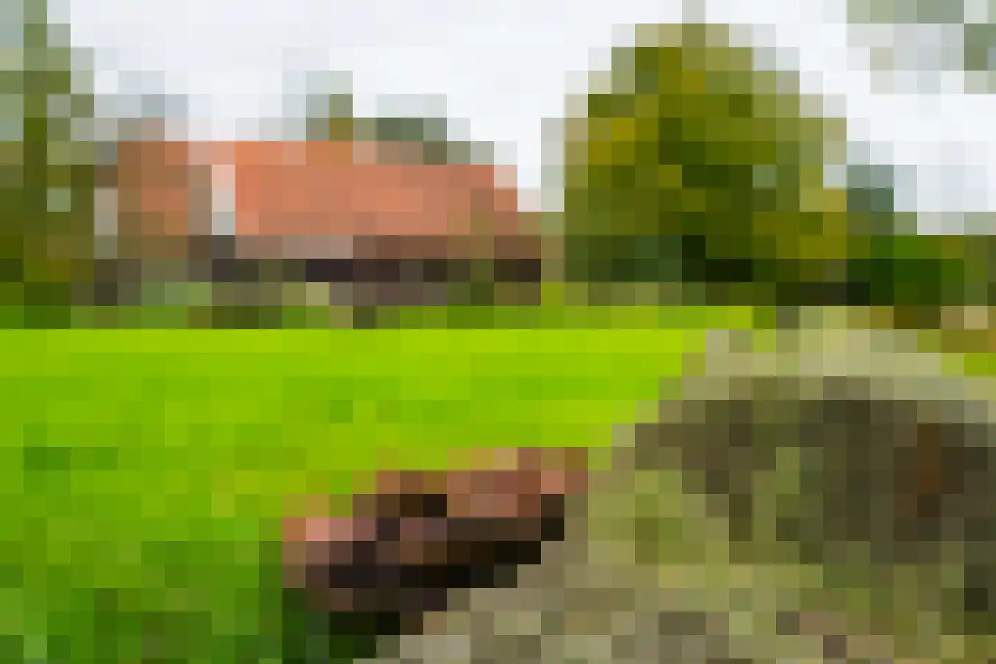 Kuipersweg 4 Winterswijk Kotten thumbnail 103