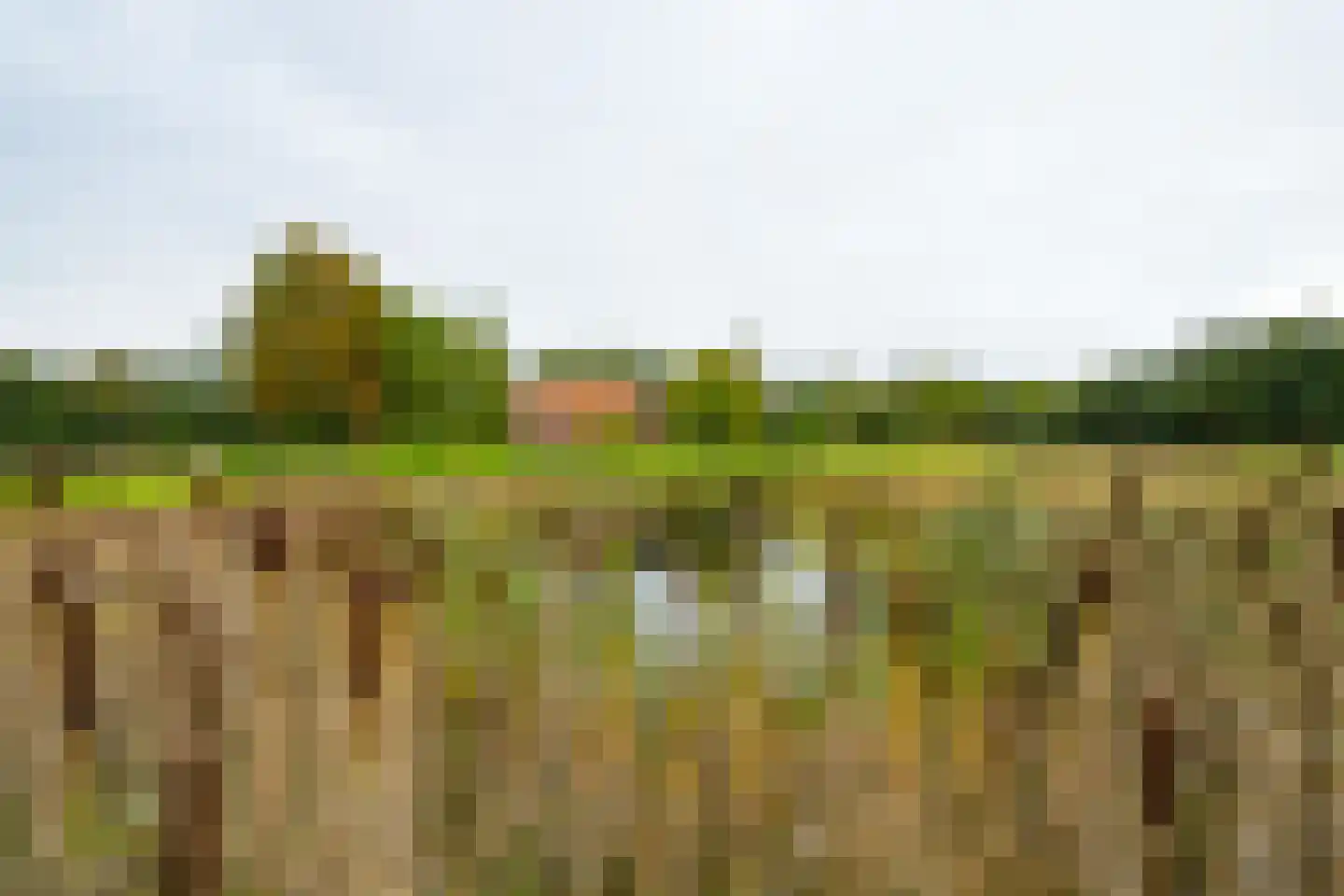 Kuipersweg 4 Winterswijk Kotten thumbnail 104