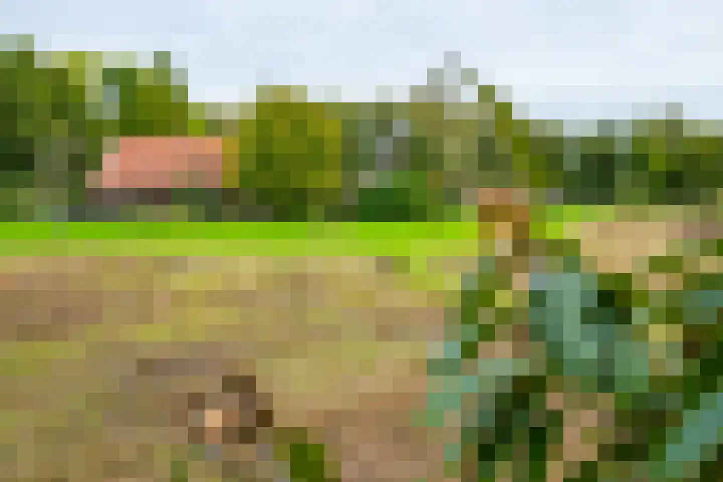 Kuipersweg 4 Winterswijk Kotten thumbnail 105
