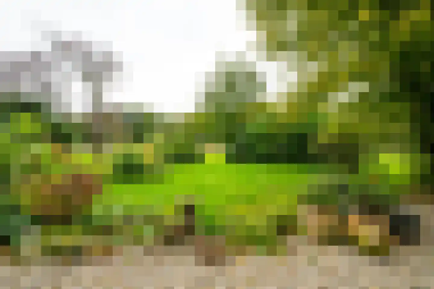 Kuipersweg 4 Winterswijk Kotten thumbnail 107