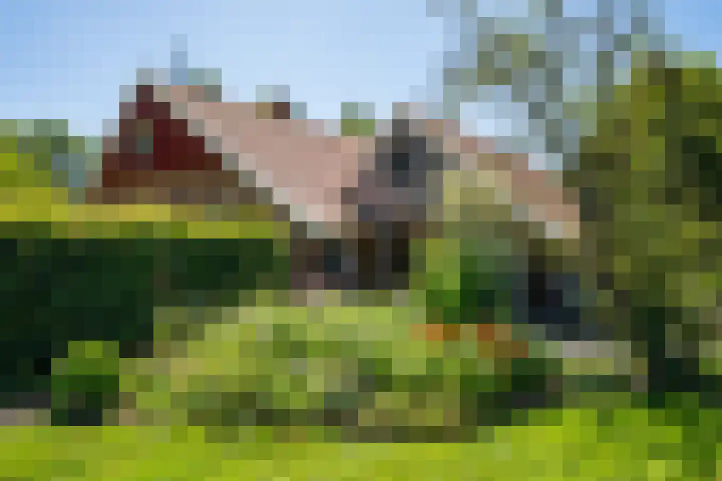 Kuipersweg 4 Winterswijk Kotten thumbnail 11