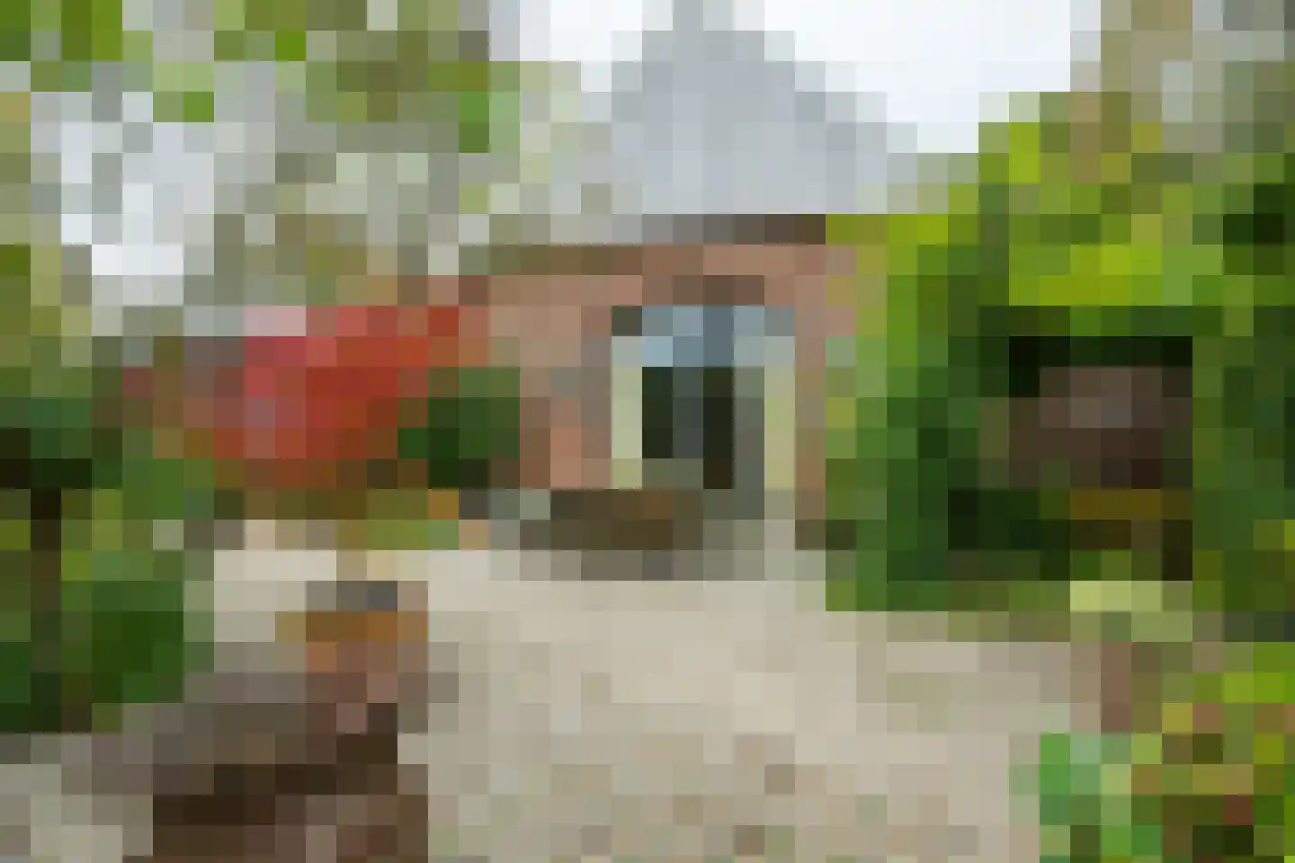 Kuipersweg 4 Winterswijk Kotten thumbnail 110