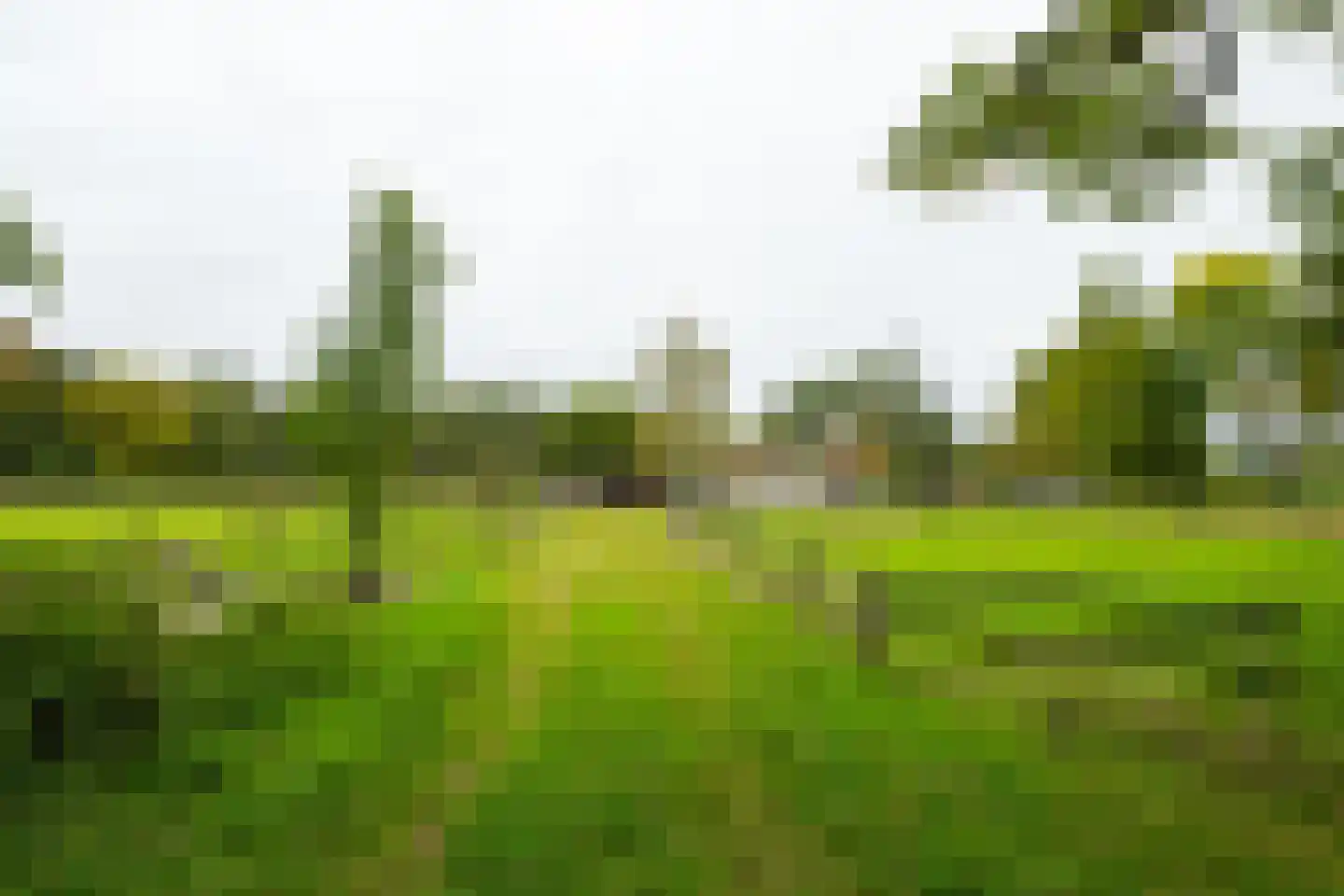 Kuipersweg 4 Winterswijk Kotten thumbnail 113