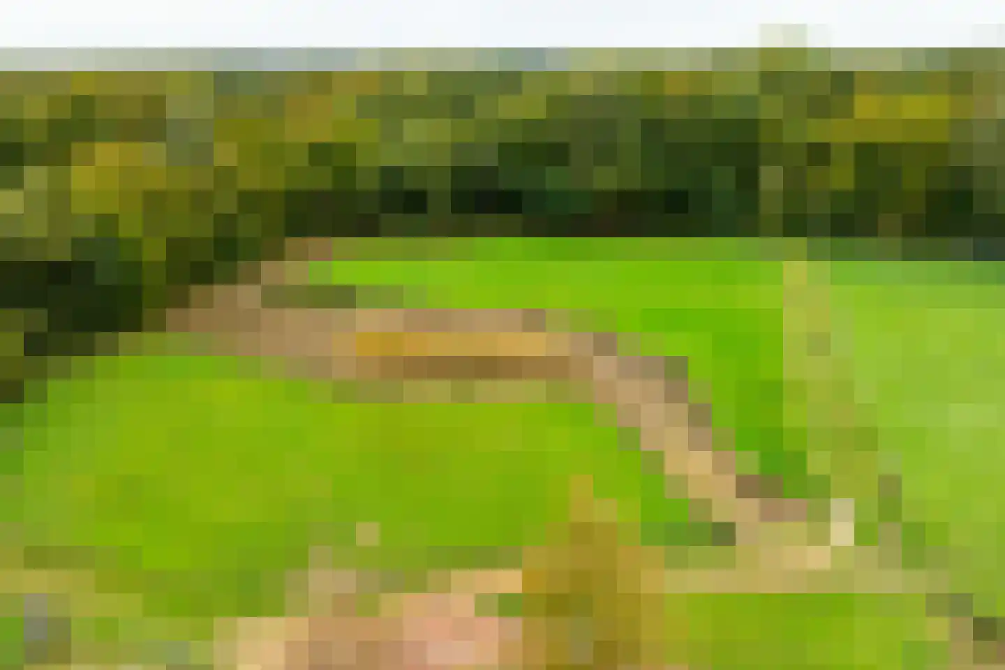 Kuipersweg 4 Winterswijk Kotten thumbnail 119