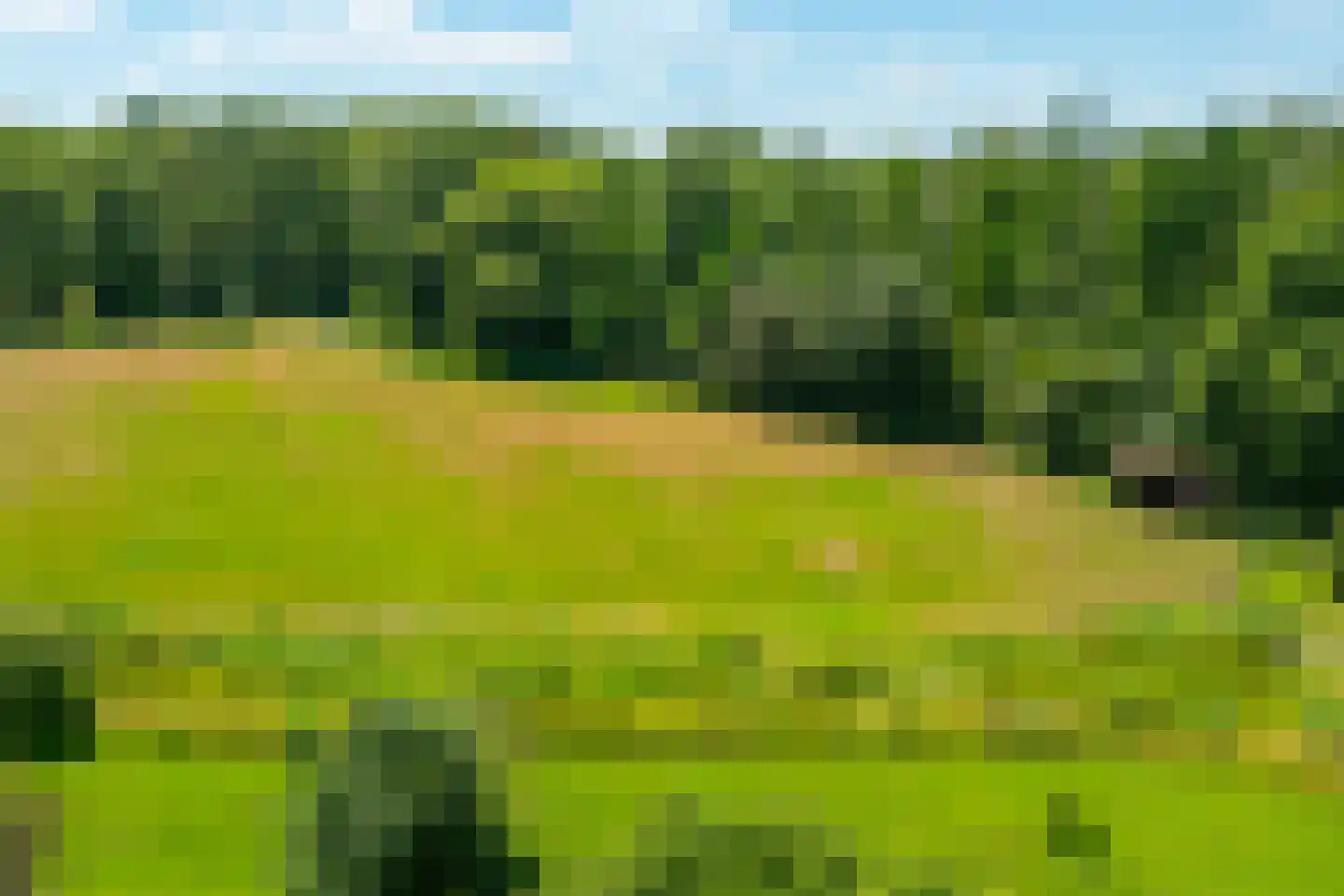 Kuipersweg 4 Winterswijk Kotten thumbnail 120