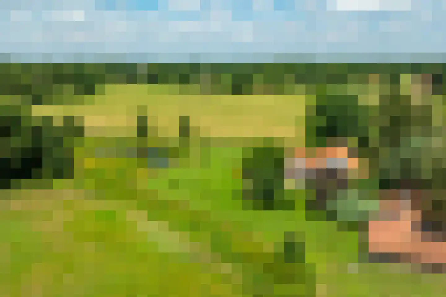 Kuipersweg 4 Winterswijk Kotten thumbnail 122