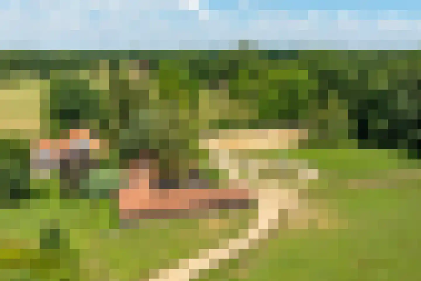 Kuipersweg 4 Winterswijk Kotten thumbnail 123