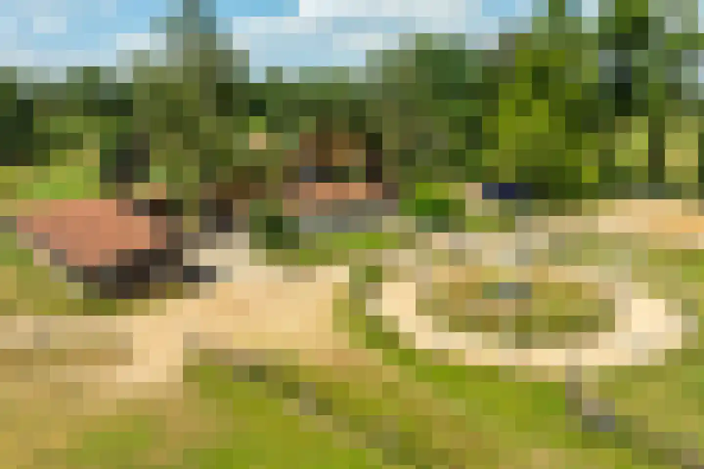 Kuipersweg 4 Winterswijk Kotten thumbnail 124