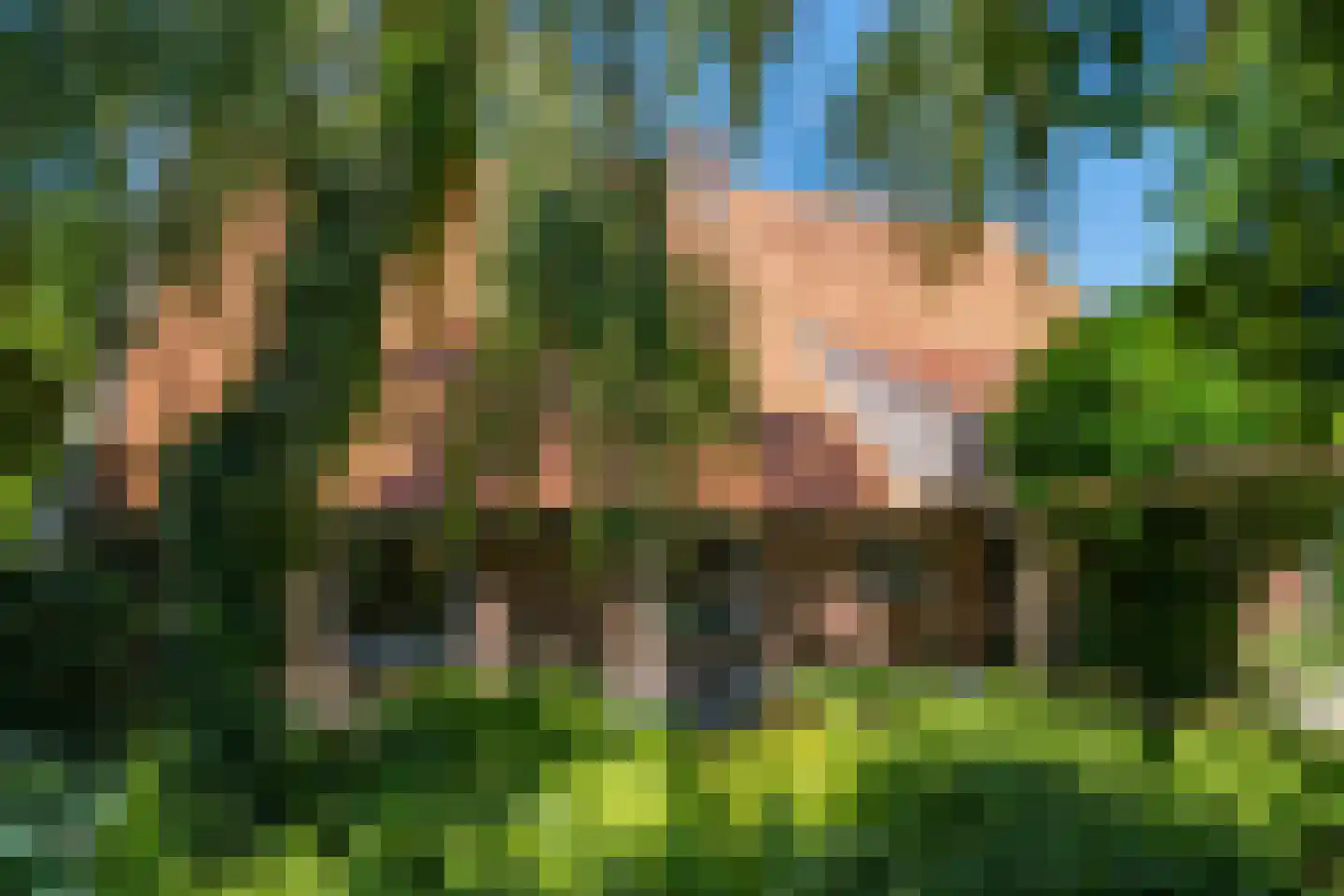 Kuipersweg 4 Winterswijk Kotten thumbnail 15
