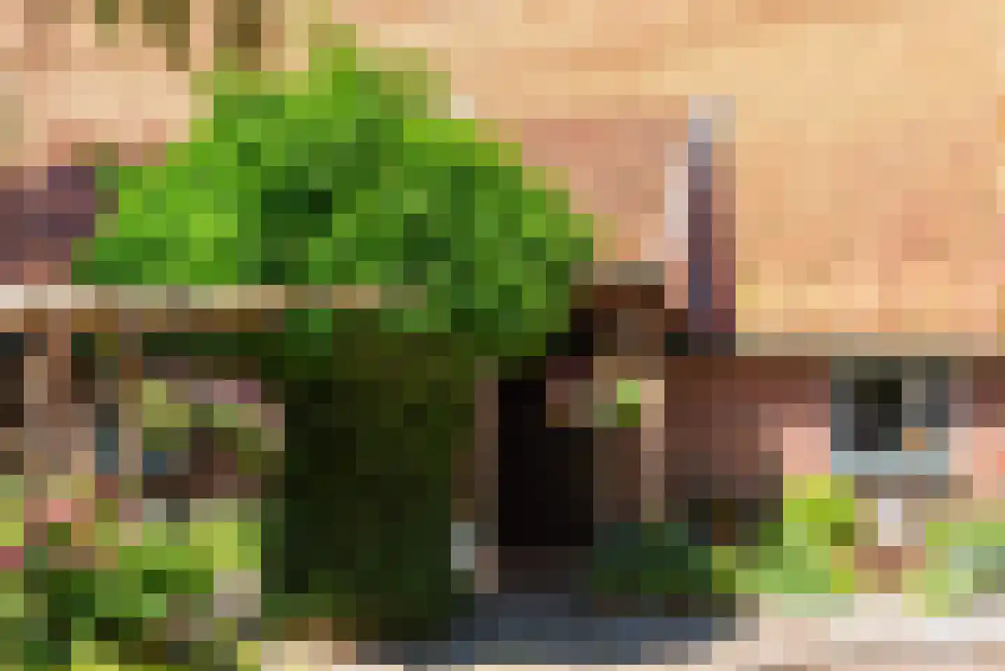 Kuipersweg 4 Winterswijk Kotten thumbnail 18