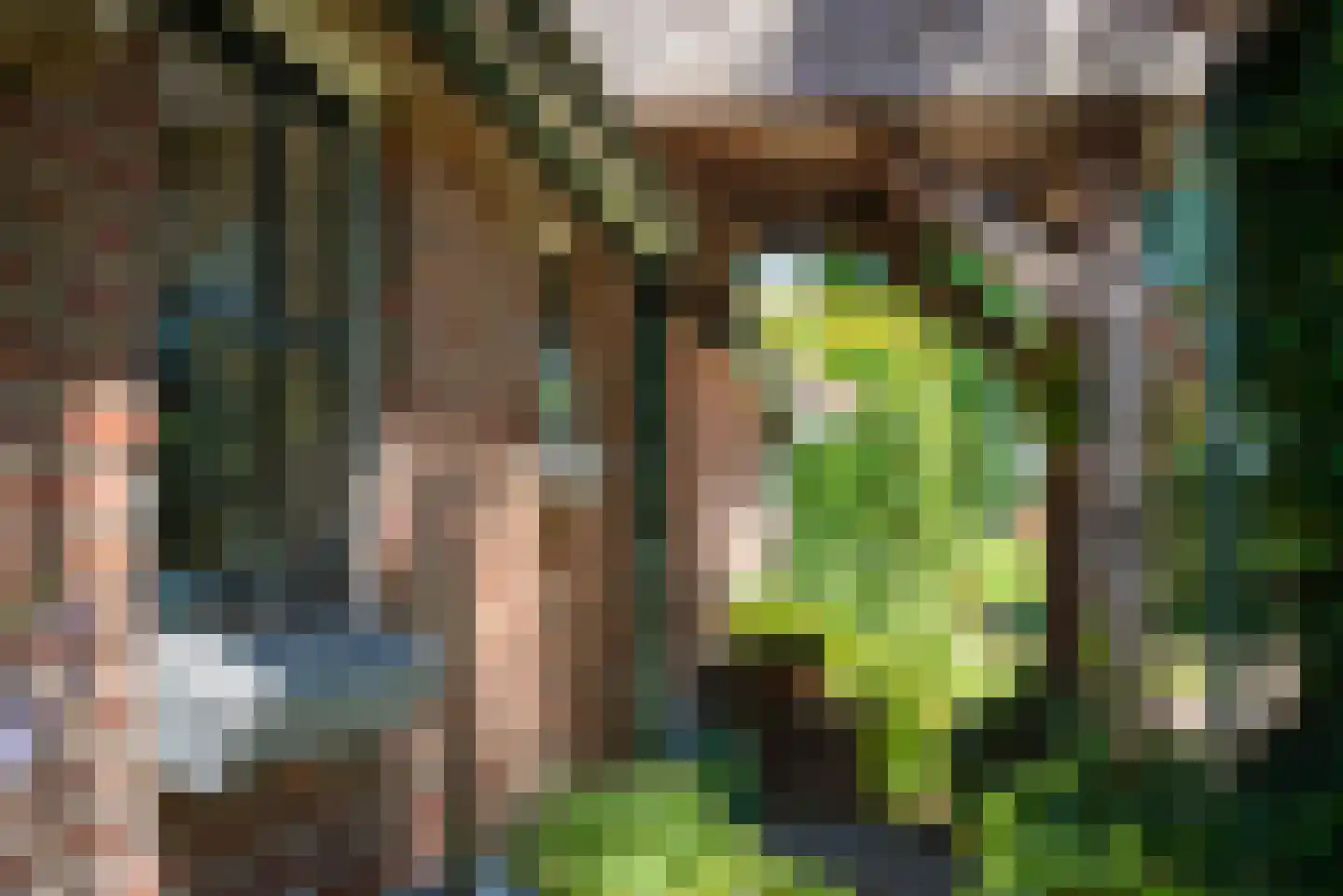 Kuipersweg 4 Winterswijk Kotten thumbnail 22