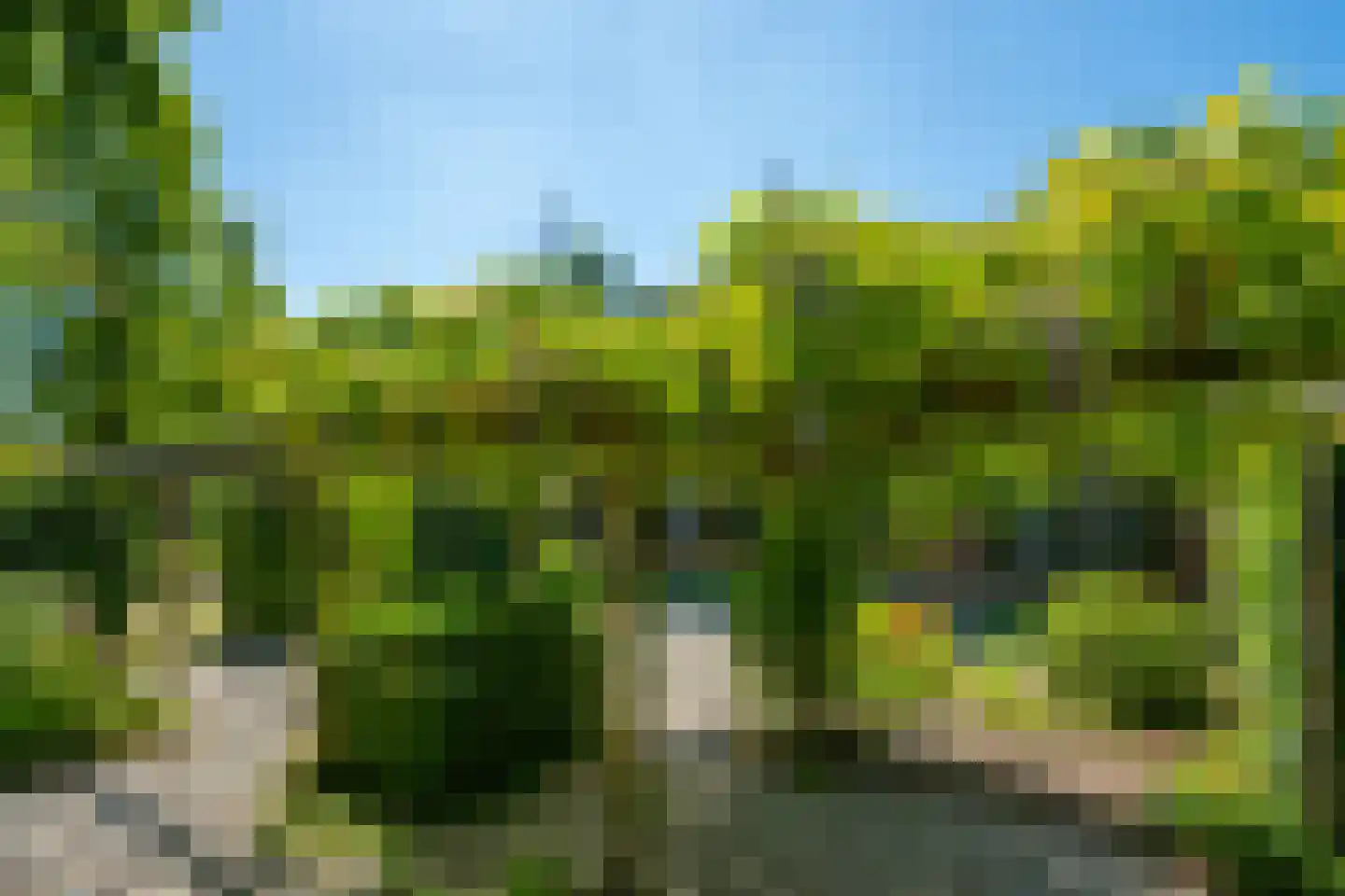 Kuipersweg 4 Winterswijk Kotten thumbnail 23