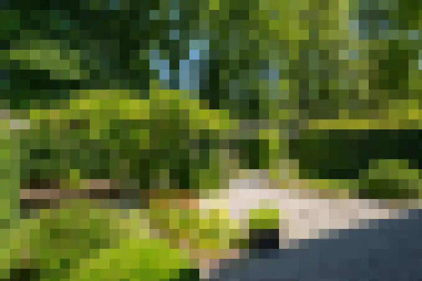 Kuipersweg 4 Winterswijk Kotten thumbnail 24