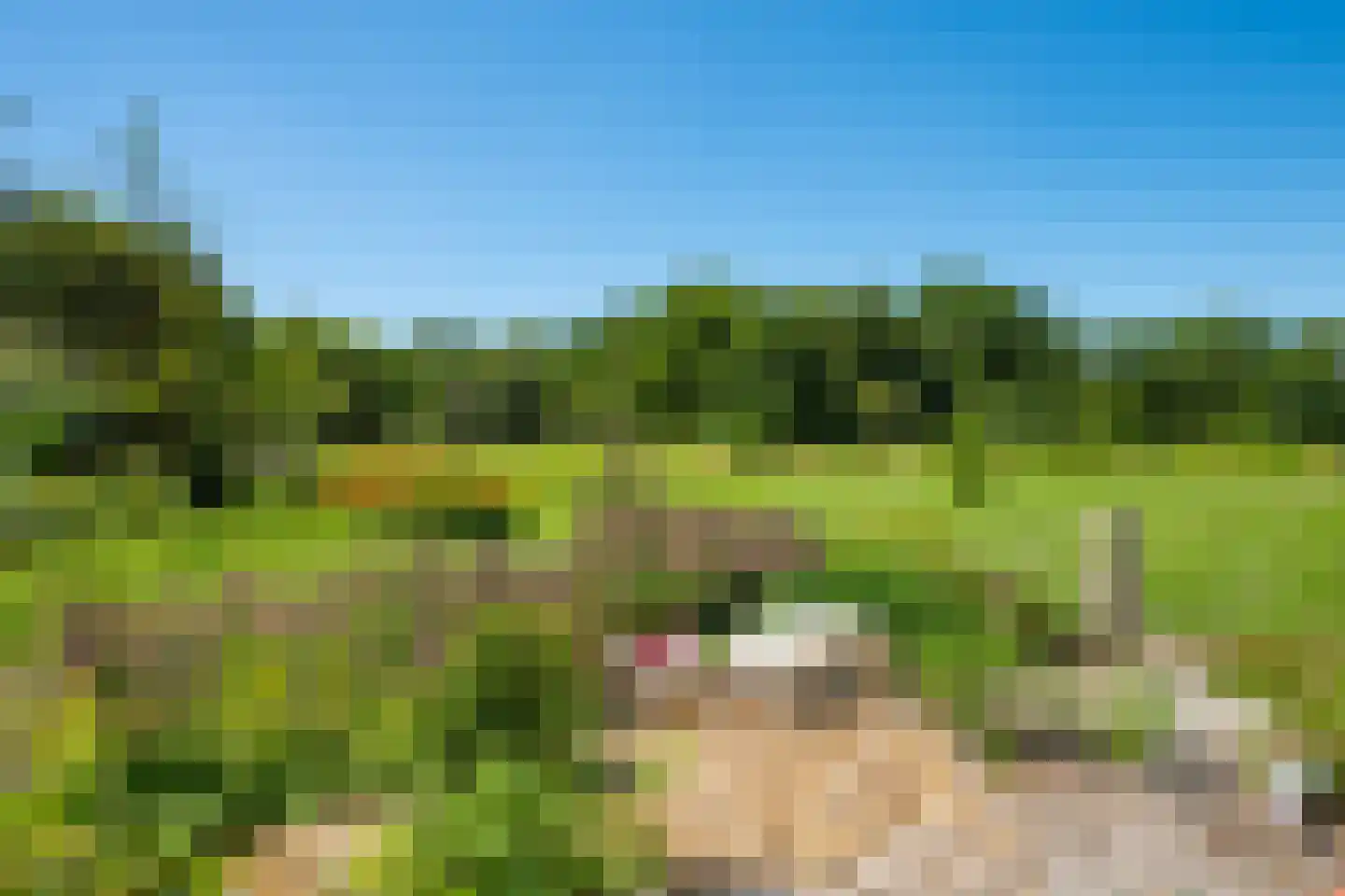 Kuipersweg 4 Winterswijk Kotten thumbnail 26