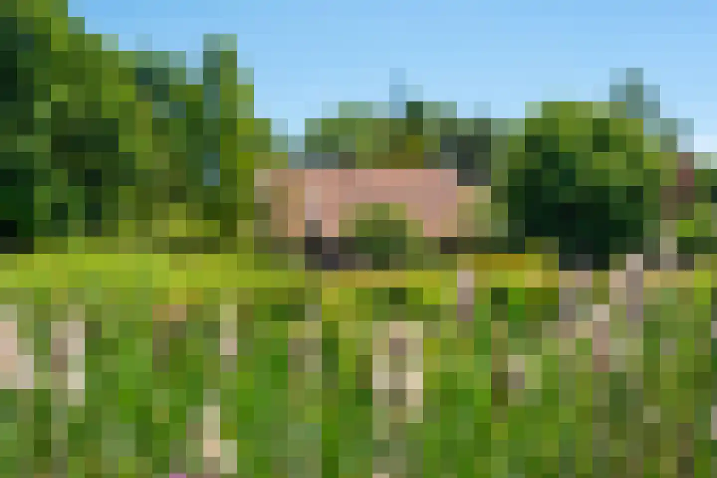 Kuipersweg 4 Winterswijk Kotten thumbnail 27