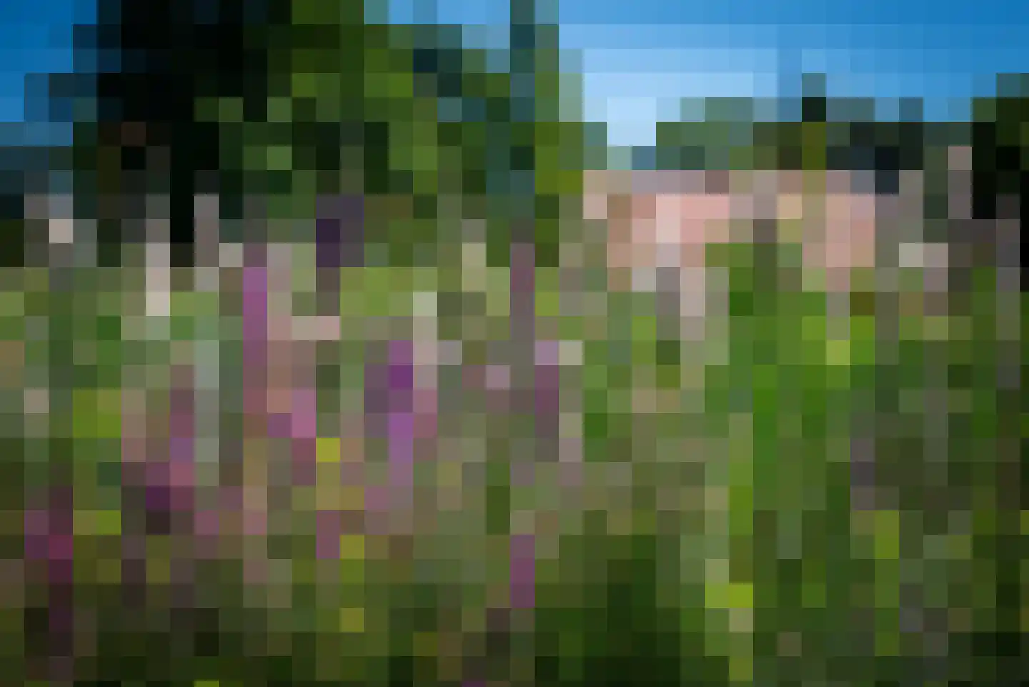 Kuipersweg 4 Winterswijk Kotten thumbnail 29