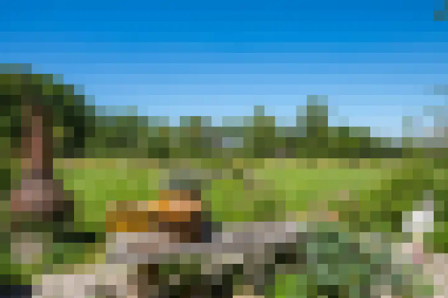 Kuipersweg 4 Winterswijk Kotten thumbnail 30