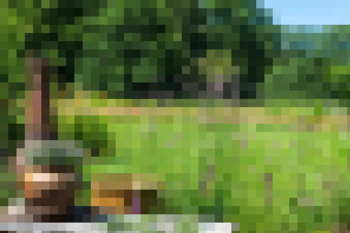 Kuipersweg 4 Winterswijk Kotten thumbnail 33