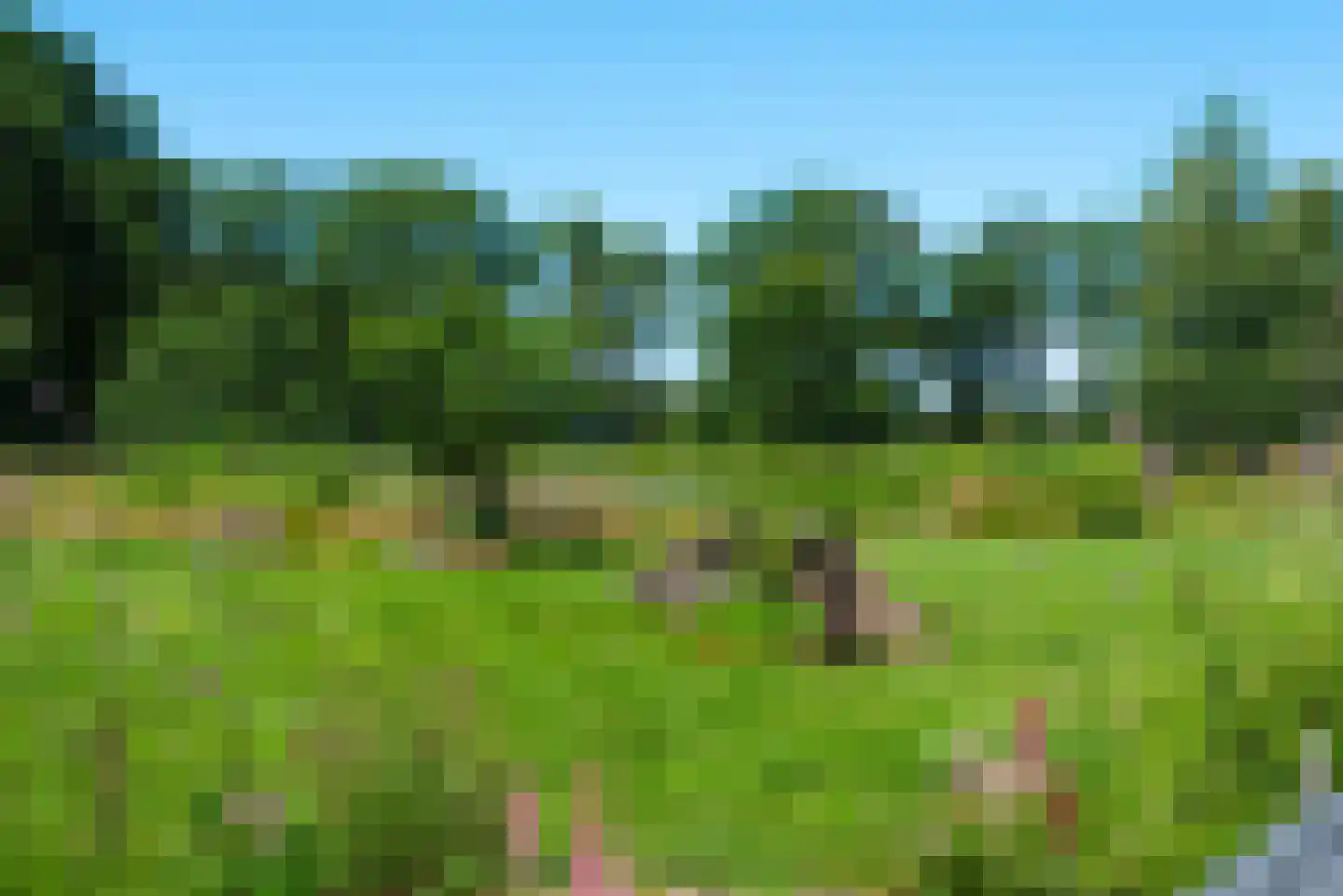 Kuipersweg 4 Winterswijk Kotten thumbnail 34