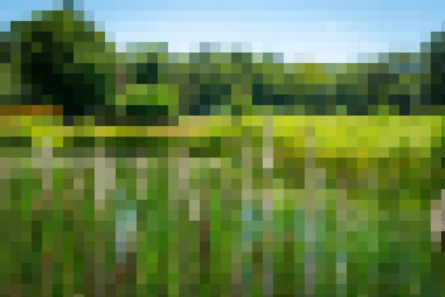 Kuipersweg 4 Winterswijk Kotten thumbnail 36