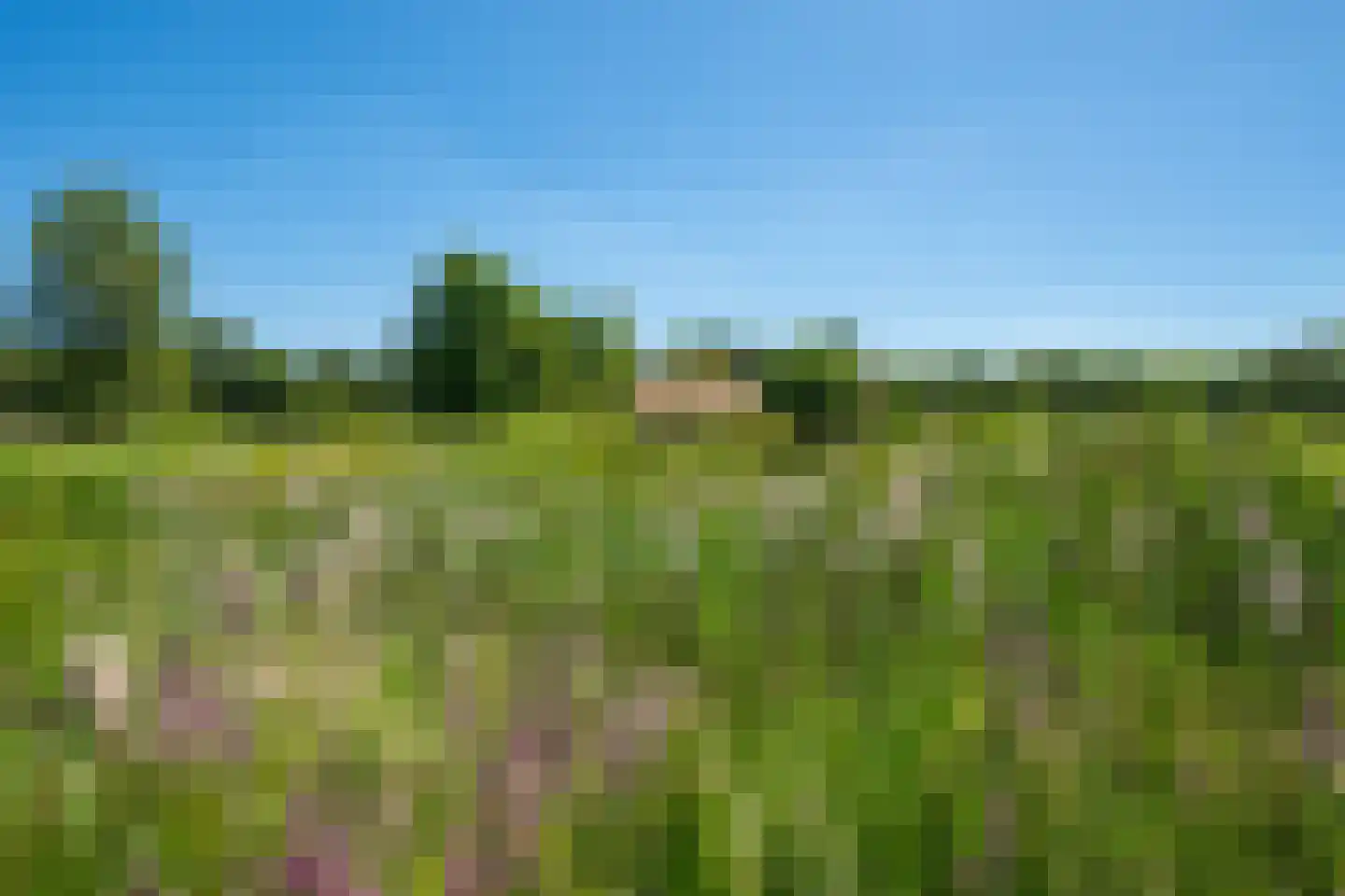 Kuipersweg 4 Winterswijk Kotten thumbnail 38