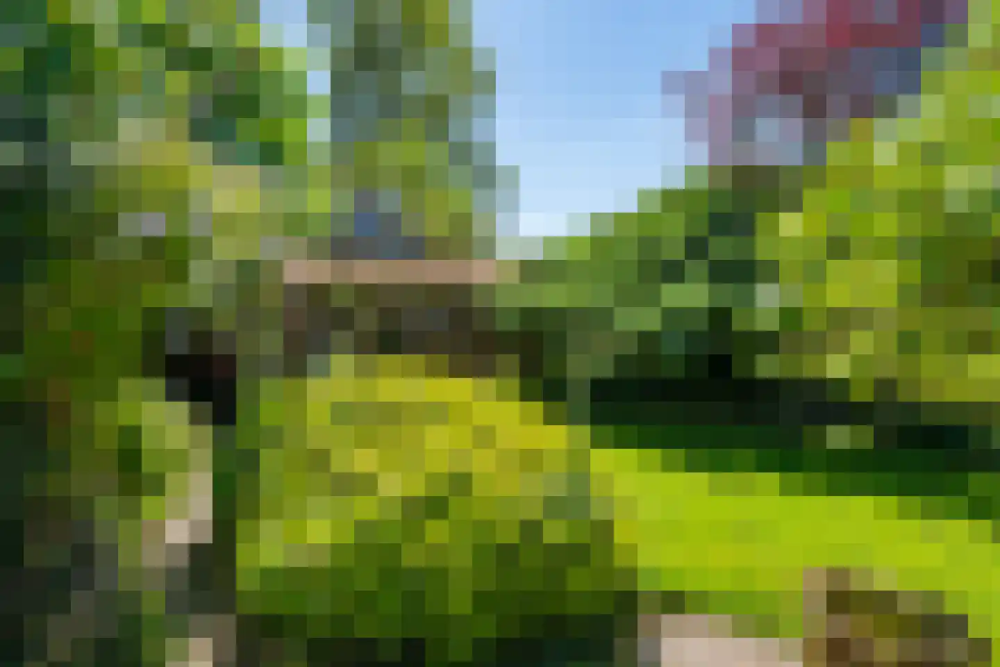 Kuipersweg 4 Winterswijk Kotten thumbnail 47