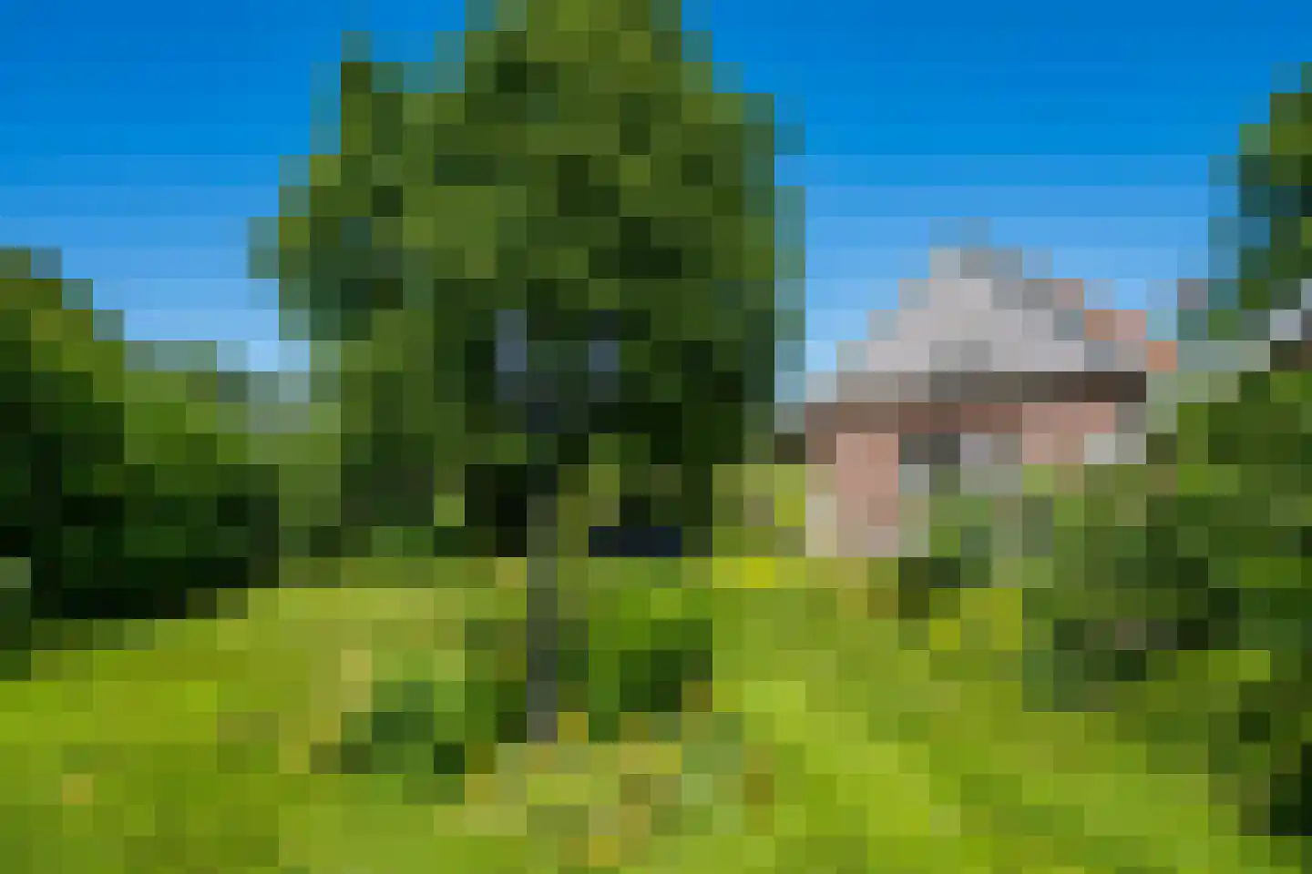 Kuipersweg 4 Winterswijk Kotten thumbnail 52