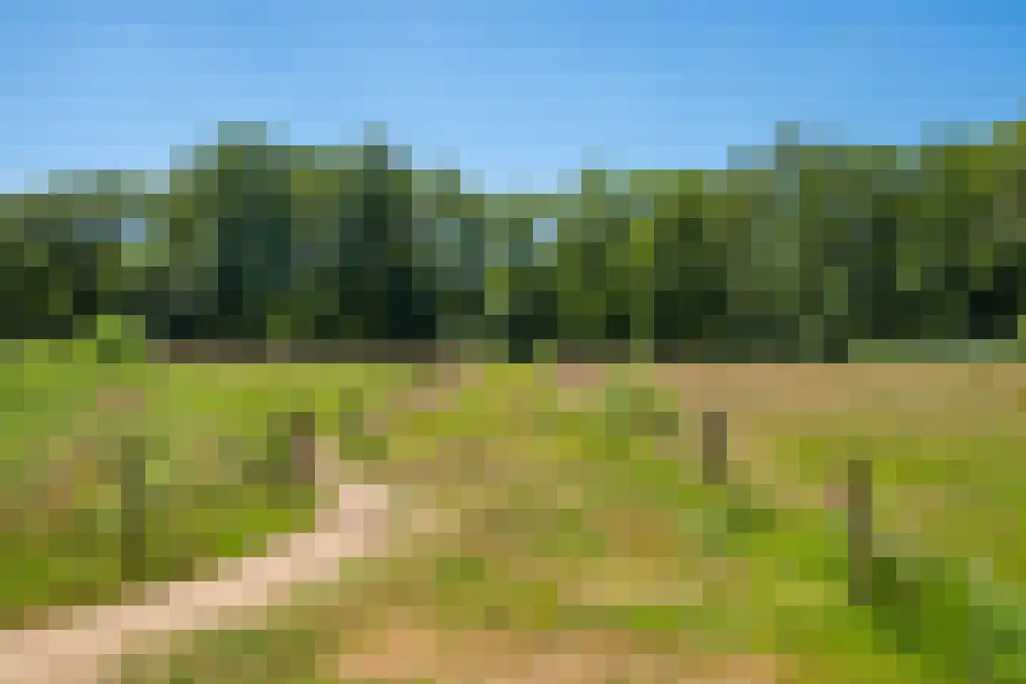 Kuipersweg 4 Winterswijk Kotten thumbnail 54