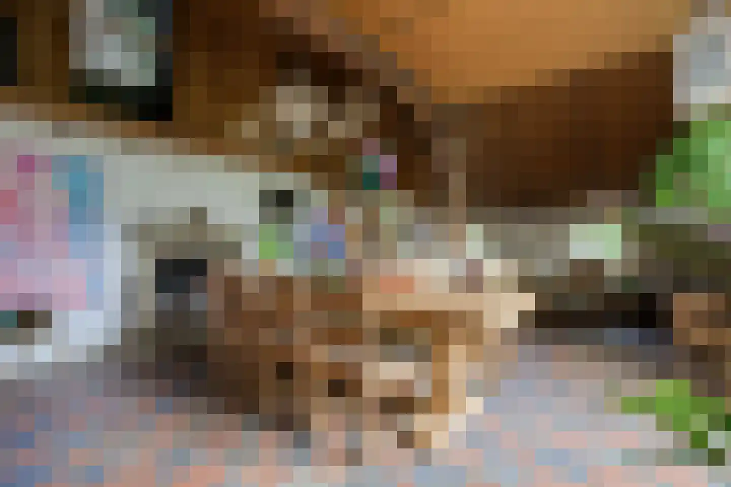 Kuipersweg 4 Winterswijk Kotten thumbnail 62