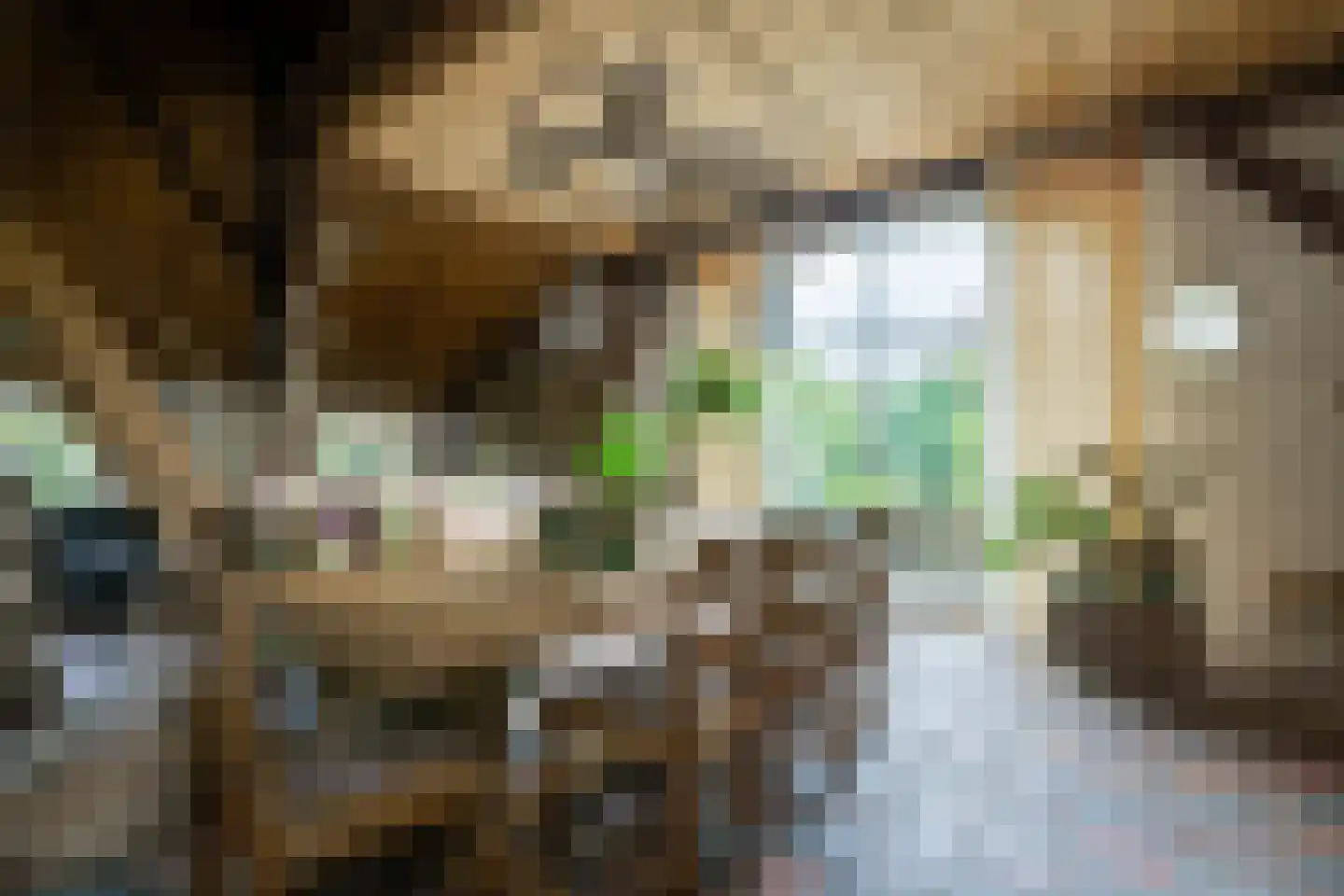 Kuipersweg 4 Winterswijk Kotten thumbnail 63