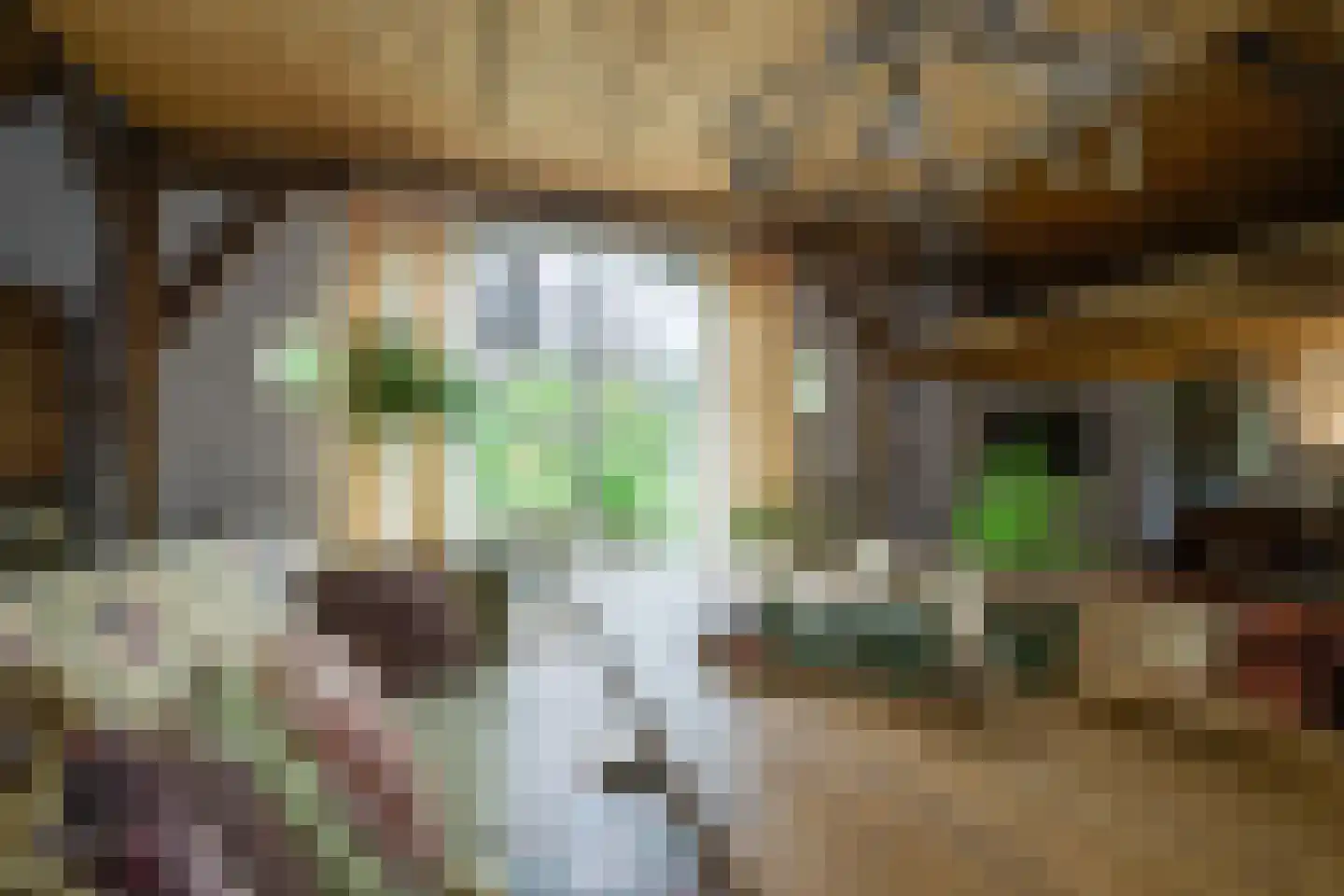 Kuipersweg 4 Winterswijk Kotten thumbnail 65