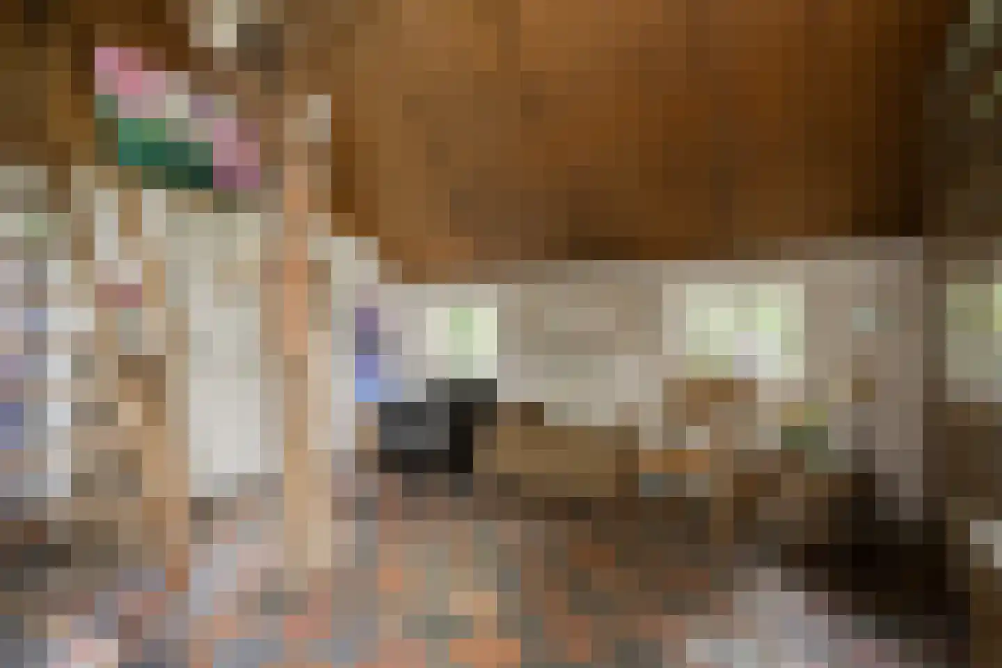 Kuipersweg 4 Winterswijk Kotten thumbnail 66