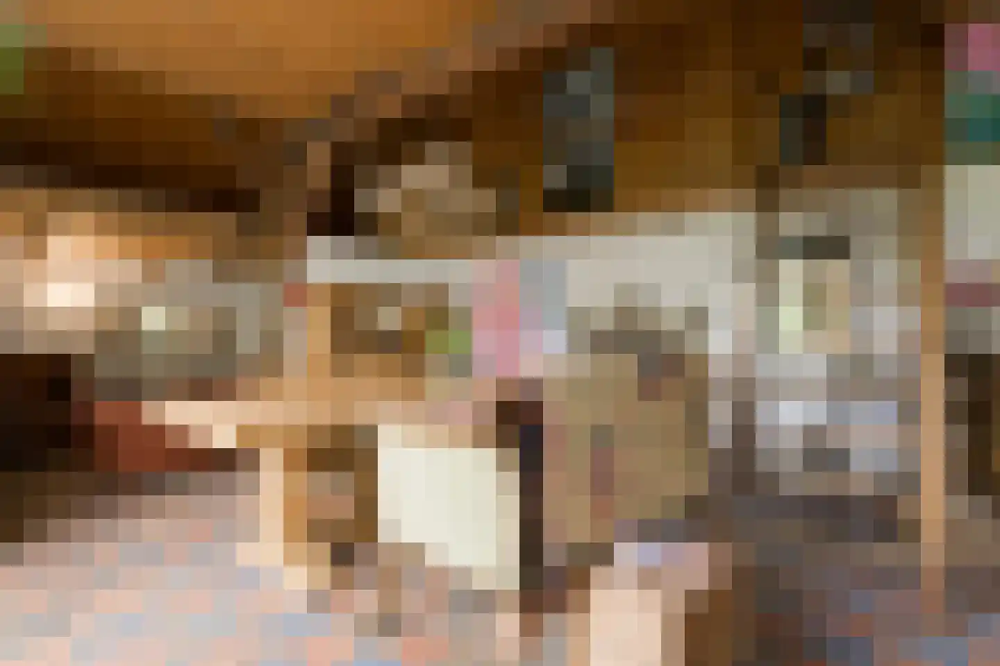 Kuipersweg 4 Winterswijk Kotten thumbnail 67