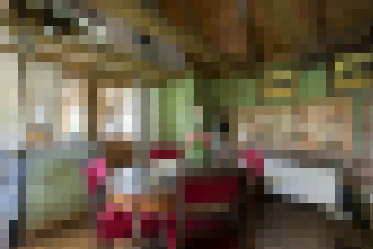 Kuipersweg 4 Winterswijk Kotten thumbnail 74