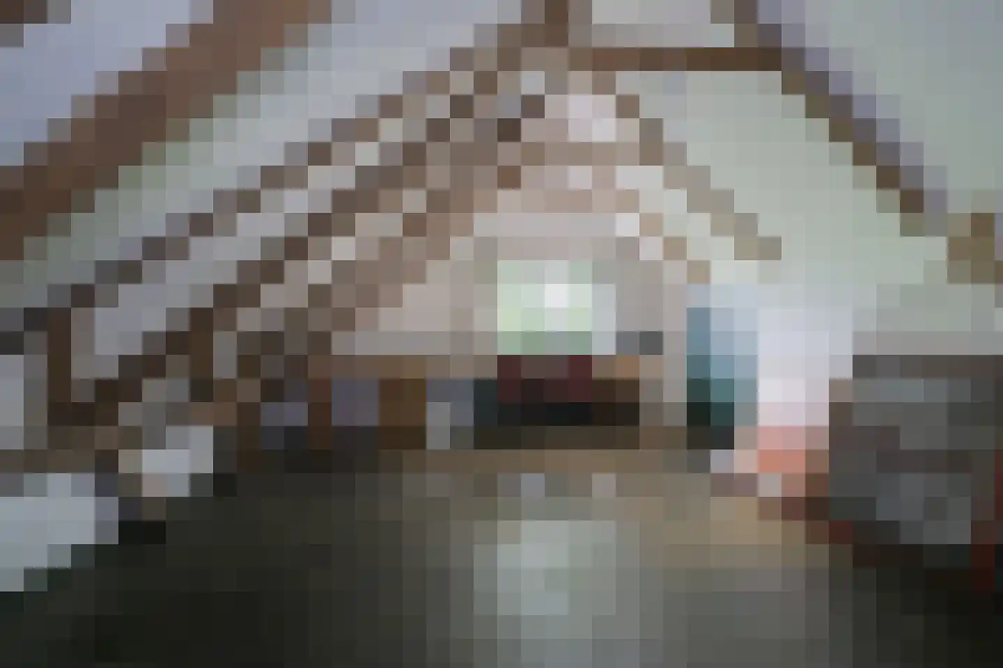 Kuipersweg 4 Winterswijk Kotten thumbnail 92