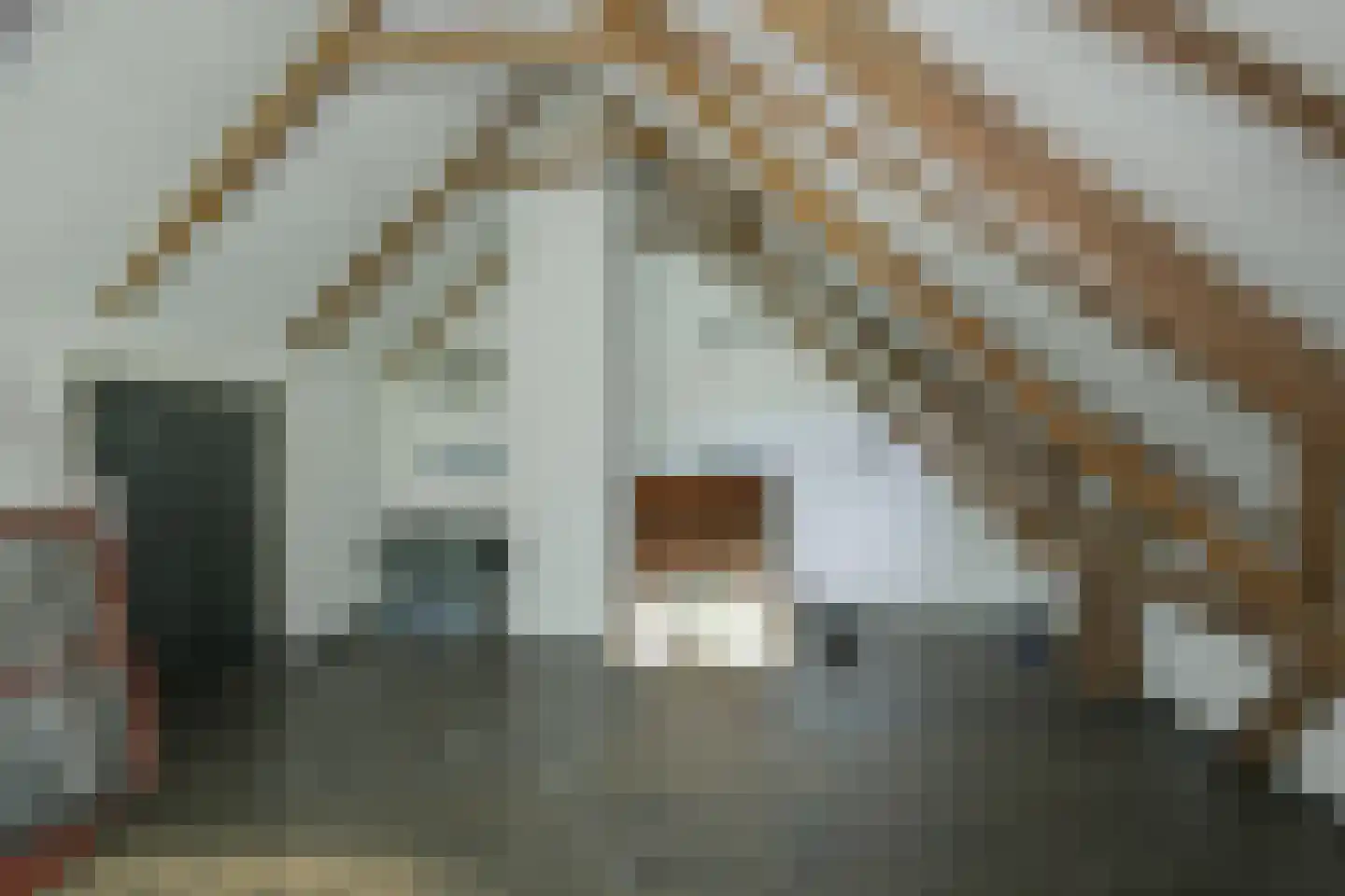 Kuipersweg 4 Winterswijk Kotten thumbnail 93