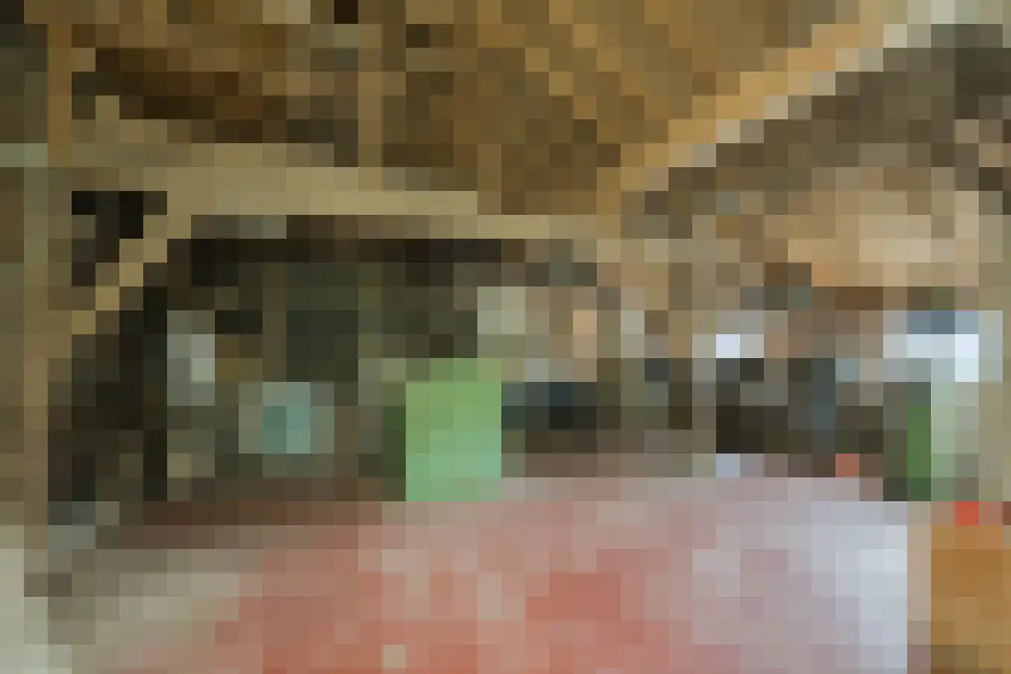 Kuipersweg 4 Winterswijk Kotten thumbnail 95