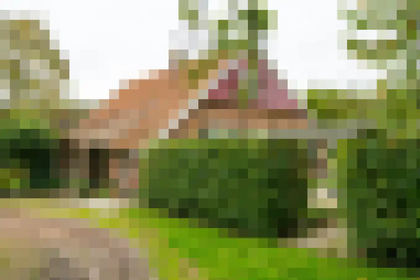 Kuipersweg 4 Winterswijk Kotten thumbnail 97
