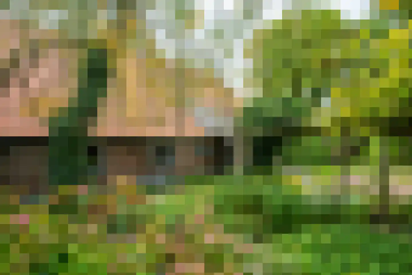Kuipersweg 4 Winterswijk Kotten thumbnail 98