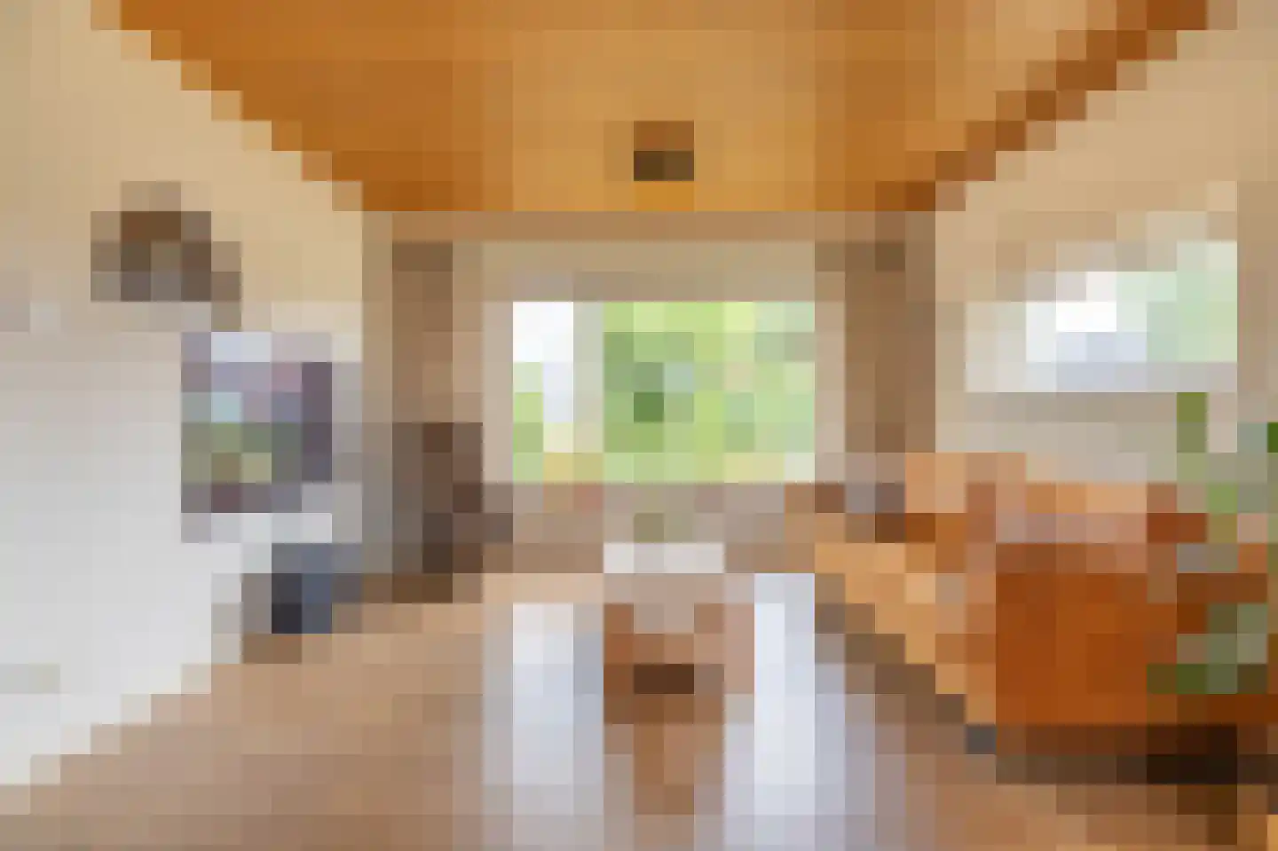 Kuipersweg 40 Buitenpost thumbnail 21