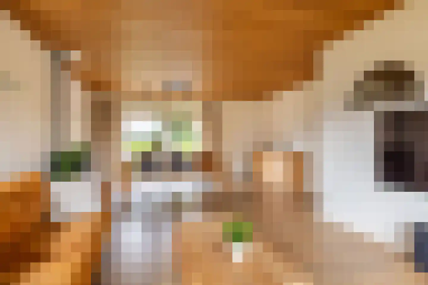Kuipersweg 40 Buitenpost thumbnail 22