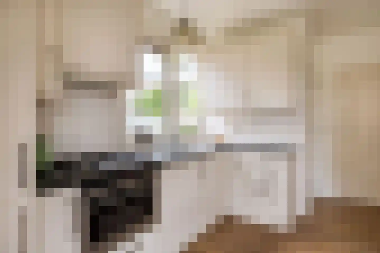 Kuipersweg 40 Buitenpost thumbnail 30