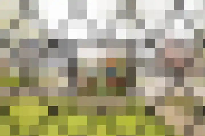 Kuipersweg 43 Buitenpost thumbnail 11
